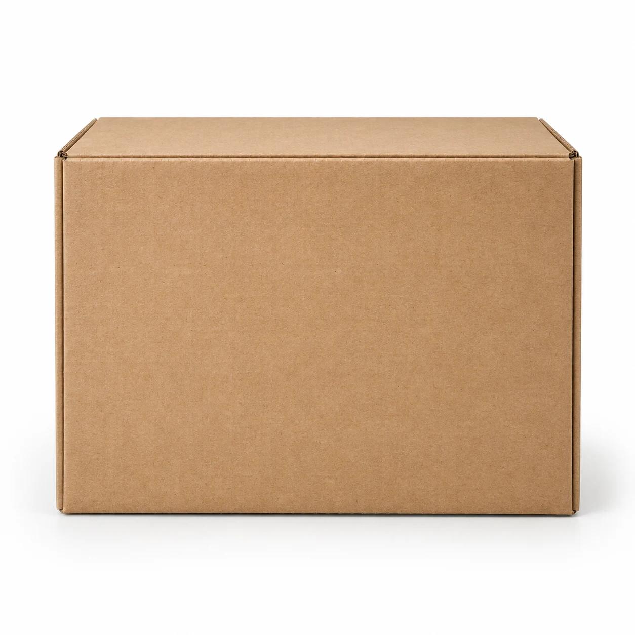 Corrugated carton seen straight on, showing the unprinted kraft face