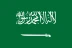 Flag of Saudi Arabia — ALLWINS answers in Arabic